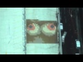 42Below-CarpetTileCupcakes-by-The-Glue-Society.mov