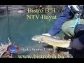 Rijeka Sturba - Livno