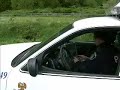 bear-hit-by-car.html