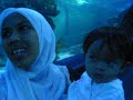Nurin Iman Di Aquaria KLCC