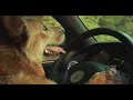 Good paw bad paw 4 - sopranos opening credits