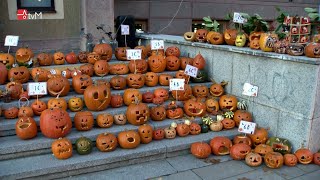 Náhled - Školy Mlýnská a Masarykova ožily dýňovou slavností