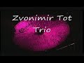 Jungle Walk - Zvonimir Tot Trio - Jazz Guitar
