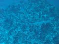 Kandooma Beru @ Maldives