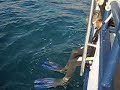 Dalila haciendo submarinismo