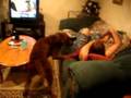 Kayla Loves Being Humped By Her Dog