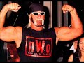 nwo wolfpack