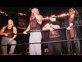 nWo wolfpac story