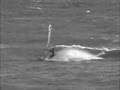 2008.01.03/04 千浜　type3
