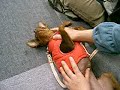 アタッチメント