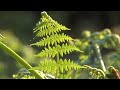 Mylo - Salt Lick (Gimbal & Sinan Remix) Mylo - Salt Lick (Gimbal & Sinan Remix)