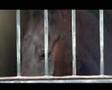 Centauros del Califato Policia Local Montada de Córdoba 1/2