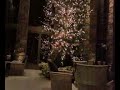 Aman Christmas Tree