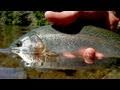 Fishing with Rod: Spooning stocked rainbow trout