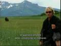 Grizzly Man - Trailer con subtÃtulos en Español