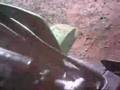 ooops wheelie crash 