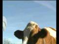 Dort in Bayern: Making-Of