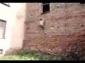 DvinskClan-Le_Parkour_optimiert