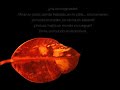 Un mundo sin mujeres