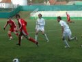 zan gresovnik