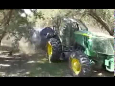 how to harvest almonds in australia