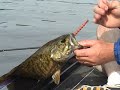 Maine Bass Fishing
