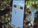 Minesweeper Cheat
