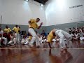 Raiz dos Palmares