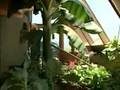 Earthship Biotecture on the Weather Channel