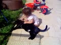 The youngest vet in the world
