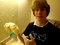 Margarine Margarine