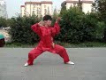 Shen Laoshi Chen Tai Ji Faustform   36er