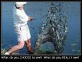 12th Foundational Falsehood of Creationism