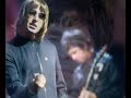 Oasis Tribute