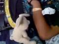 videos de el konejo decepcionado