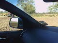 Quadtrac in rape stubble