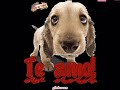 ALTOS LOUVORES - TE AMO