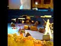 \"PEGA Video\"Timgad SHERYFA LUNA  AIME MOI