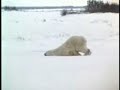 Mondays suck
