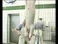 Промышленный убой свиней