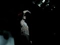 Robytt Moon - Gogo Drag - Danger Dance Club [Arquivo Pessoal] 'Top Drag Queen Brazil/SP'