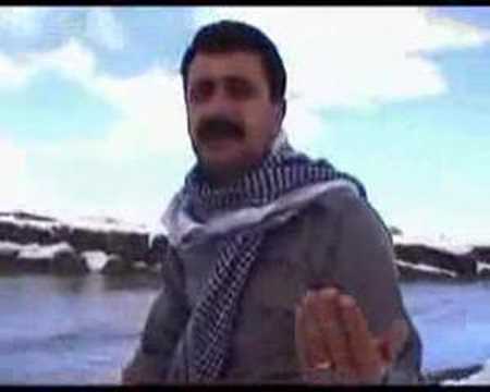 See video See video