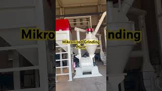 SMD 1100 Çekiçli Mikronize Öğütme Ünitesi 