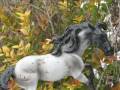 videos de Breyer Realistic Sences