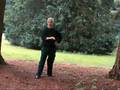 Shaolin Neijin Yizhichan Qigong 1