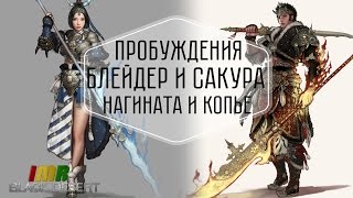 Black Desert - пробуждения блейдера и сакуры. Нагината, копье и новые стили боя Black Desert - пробуждения блейдера и сакуры. Нагината, копье и новые стили боя