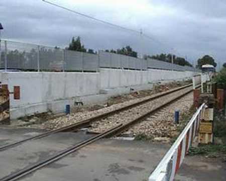 Immagine anteprima YouTube