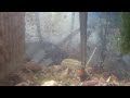 100_5584.MOV