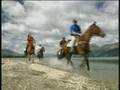 videos de New Zealand - Sport - Travel Doc