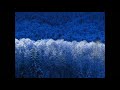 au pied du mur.wmv